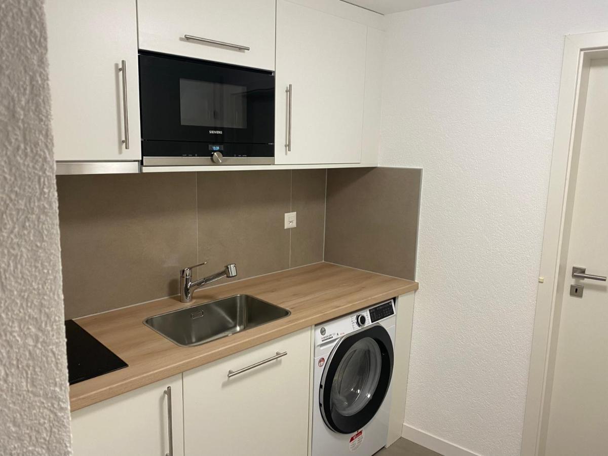 Studio Neuf Meuble Et Equipe Pres D'Autoroute. Apartamento Giez Exterior foto